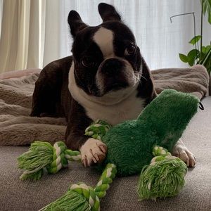 Meet your Posher, Alex